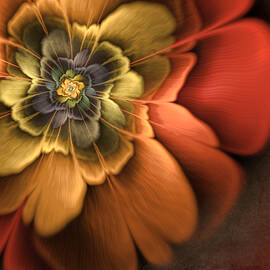 Fractal Pansy by John Edwards