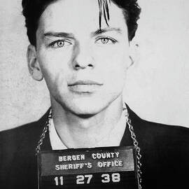 Frank Sinatra Mugshot by Jon Neidert
