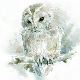 garden friends owl by Carol Robinson