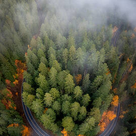 Gold Rush by Gerald Macua