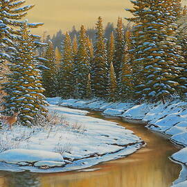 Golden Skies by Jake Vandenbrink