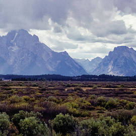 Grand Teton Park 54