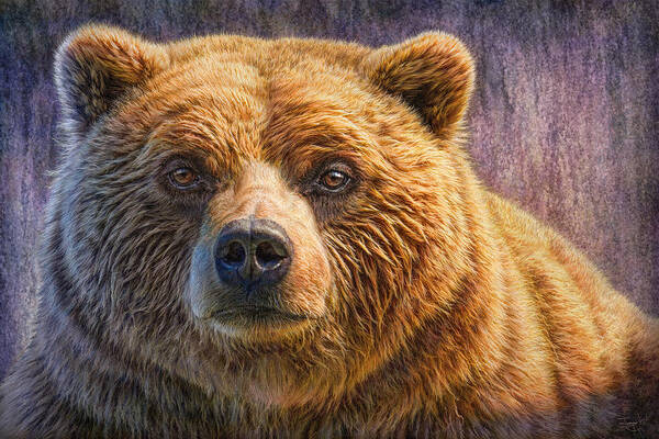 Portrait of a Grizzly Bear Wall Art
