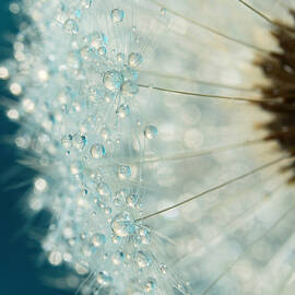 Half O'Clock in Blue by Sharon Johnstone