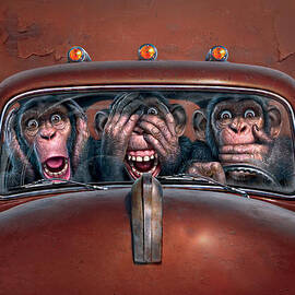 Hear No Evil See No Evil Speak No Evil by Mark Fredrickson