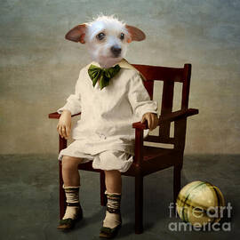 Henri by Martine Roch