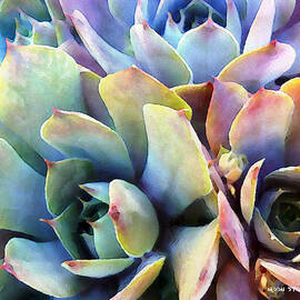 Hens and Chicks series - Soft Tints by Moon Stumpp