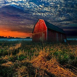 Here Comes the Light by Phil Koch