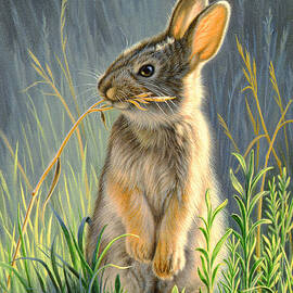 Highly Selective by Paul Krapf