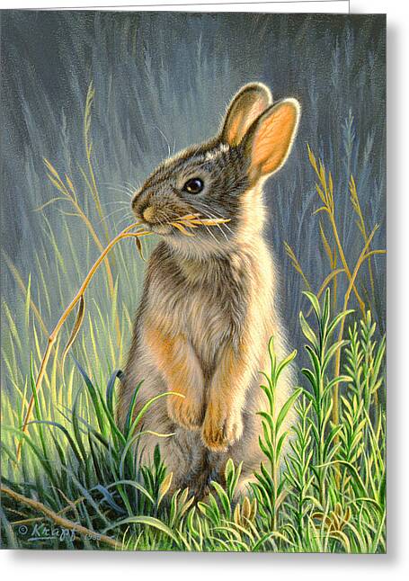 Rabbit in Sunlit Grass Greeting Card