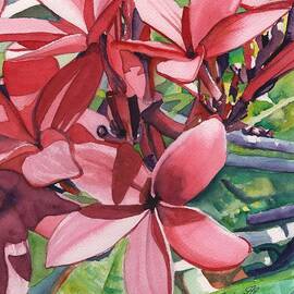 Hot Pink Plumeria by Marionette Taboniar