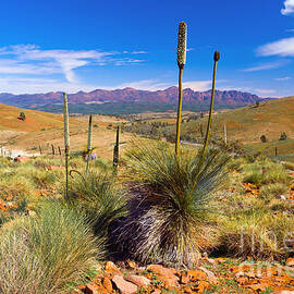 Hucks Lookout by Bill  Robinson