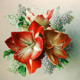 Hyperastrum by Pieter Wagemans