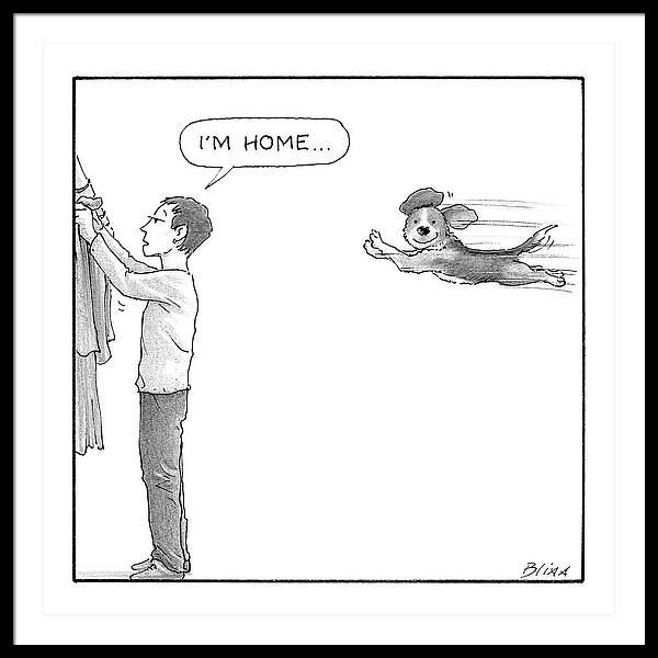 Joyful Dog Leaping Home Framed Print