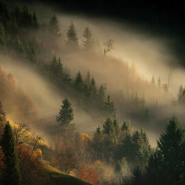 In my secret garden by Piotr Skrzypiec