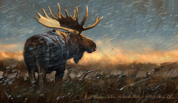 Moose in Teton National Park Wall Art