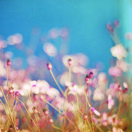 Infatuation in Blue II by Amy Tyler