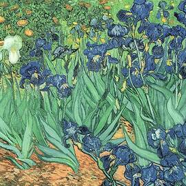Irises by Vincent Van Gogh by Vincent Van Gogh