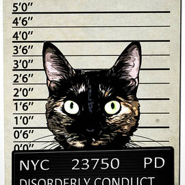 Kitty Mugshot by Nicklas Gustafsson