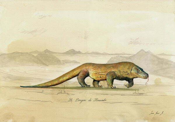 Komodo Dragon Strolling the Landscape Wall Art