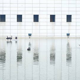 Lake by New Impressionist