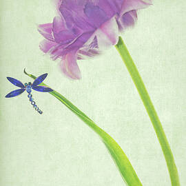 Landing by Rebecca Cozart