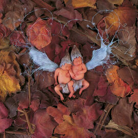 Fall Leaf Fairies by Anne Geddes