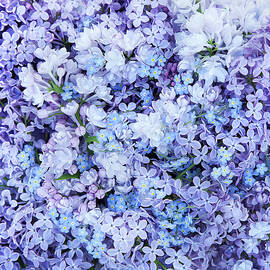 LILACS AND FORGET ME NOTS by Theresa Tahara