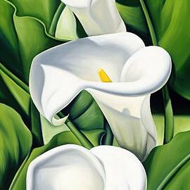 Lilies by Catherine Abel by Catherine Abel
