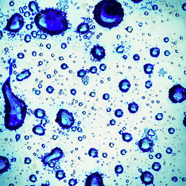 Abstract Water Drops by Wim Lanclus