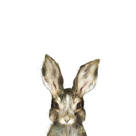 Little Rabbit by Amy Hamilton