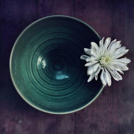 live simply by Priska Wettstein