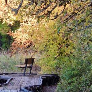 Benches in Nature Art Competition