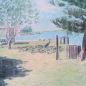 Early Morning Shadows Art Competition