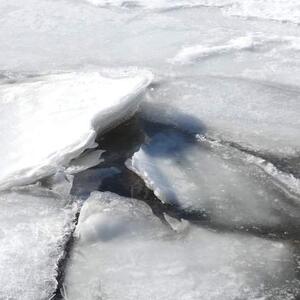 Oh I get it Art Competition