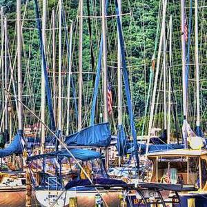 Stuck on Boats Art Competition