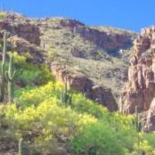 The Majestic Rockies