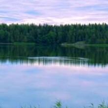 The Meandering Photographer