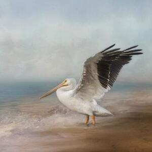 Wingspan Wonder  Pelican Art Competition