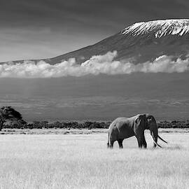 Lost Colors Ii by Ibrahim Canakci