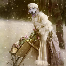 Merry Christmas by Martine Roch