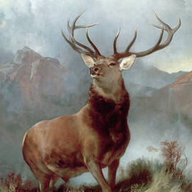 Monarch of the Glen by Edwin Landseer