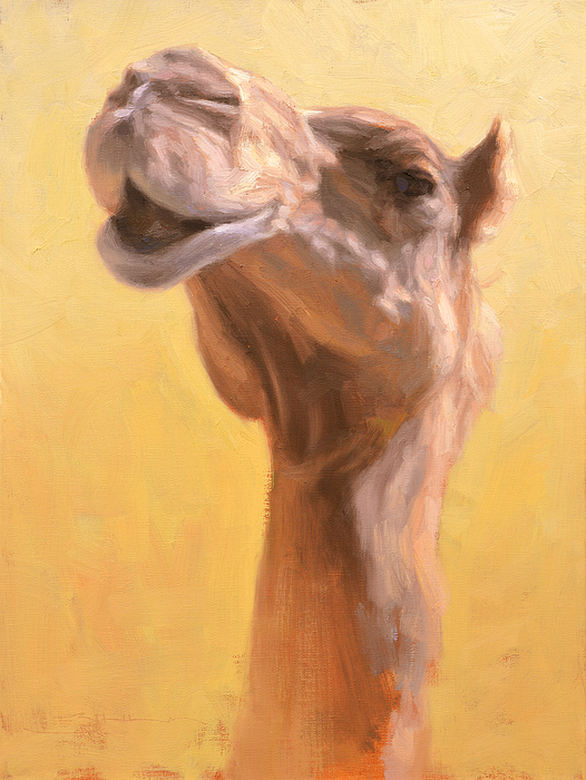 Camels Art for Sale