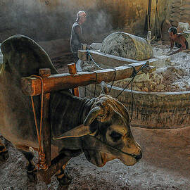 Mutual Cooperation by Edy Pamungkas