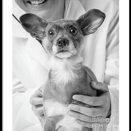 NFS by Edward Fielding