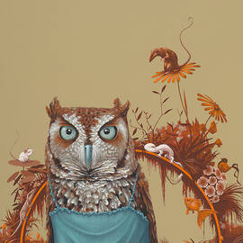 Northern Screech Owl by Jasper Oostland