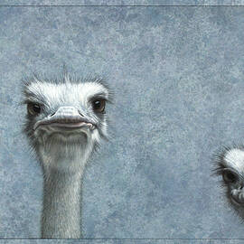 Ostriches by James W Johnson
