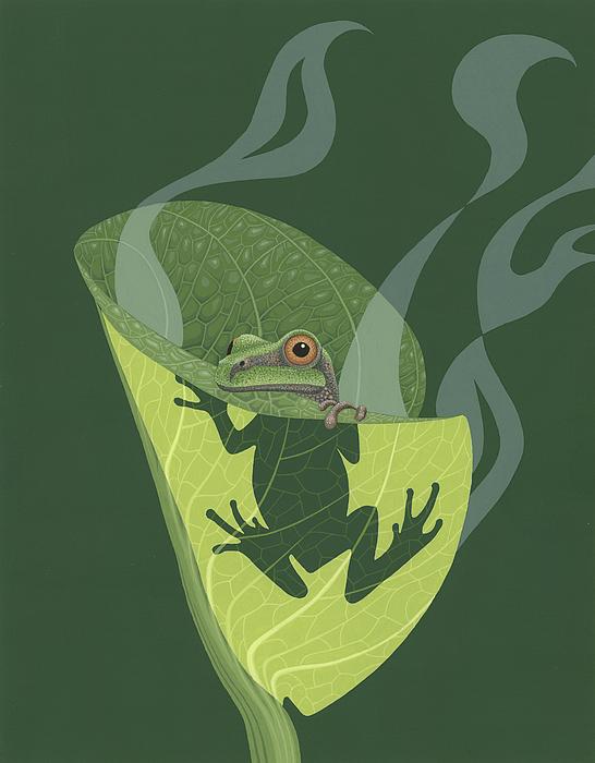 Amphibians Art for Sale