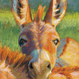 Peek-A-Burro by Rita Kirkman