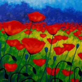Poppy Corner II by John  Nolan
